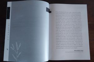 No tear da história